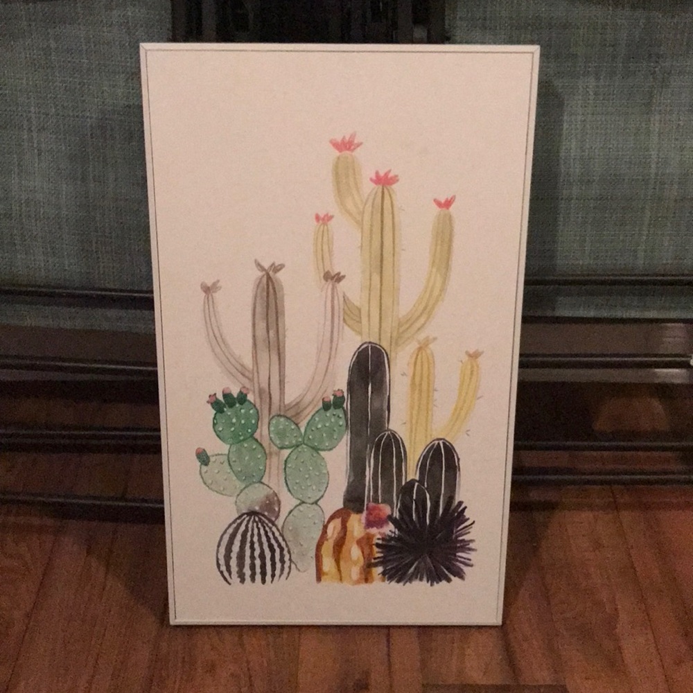 cactus picture